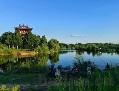 超碰在线成人免费公开视频-超碰在线成人免费公开视频，网络伦理与安全探讨