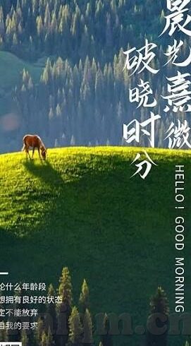 伦理片韩国伦理影片-韩国伦理影片，文化、社会与人性深度的探索