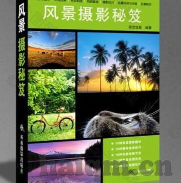 麻豆传媒好看的-解锁视觉盛宴——麻豆传媒中那些不可忽视的美丽瞬间