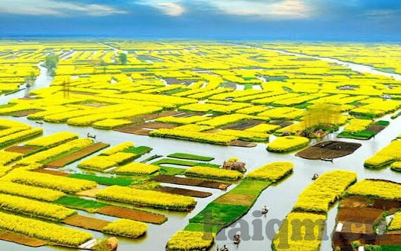 糖心app2021年旧版app-重塑经典——2021年糖心APP旧版的一次回首